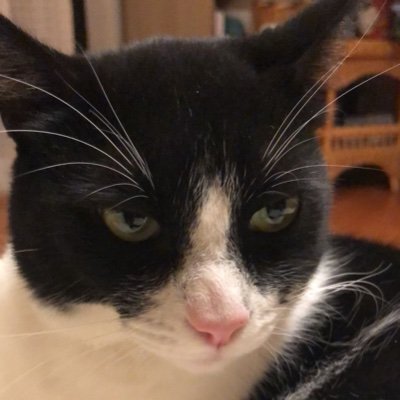 samforrealll's profile picture. 