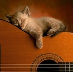 MrClem_NW's profile picture. Software Engineer, Projects Leader, Techno enthusiast, Maker, Geek Daddy, Musician