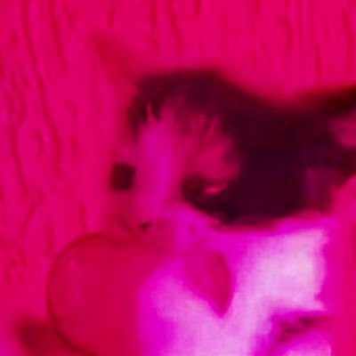 soup(aq)さんのプロフィール画像