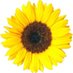 Nancy Beyke (@nancybeyke) Twitter profile photo Nancy Beyke (@nancybeyke) Twitter profile photo