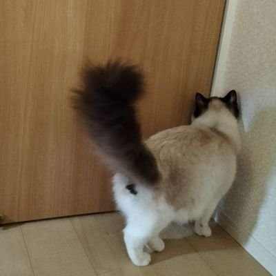 もぐもぐさんのプロフィール画像
