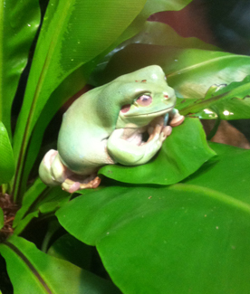 jenk0sf's profile picture. 