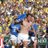 David_ripi's profile image