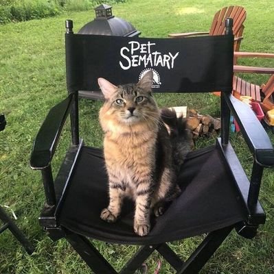 I survived the sematary.
By: Stephen King.
Florencia Vásquez, 3ro Medio A.