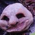6teeth (@co2scanner) Twitter profile photo 6teeth (@co2scanner) Twitter profile photo
