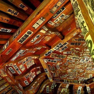 hayata25309173's profile picture. 