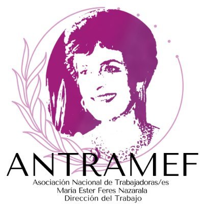 Asociación participativa, democrática, regionalista y feminista. Colectivo fundado en honor a nuestra exdirectora del Trabajo María Ester Feres Nazarala.