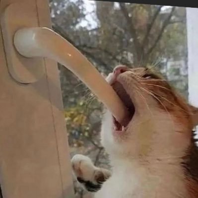 BillGisby's profile picture. 