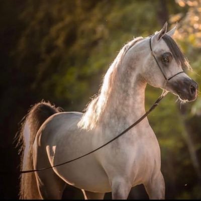 I_am2010's profile picture. 