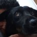 paulo (@paulo6589) Twitter profile photo paulo (@paulo6589) Twitter profile photo