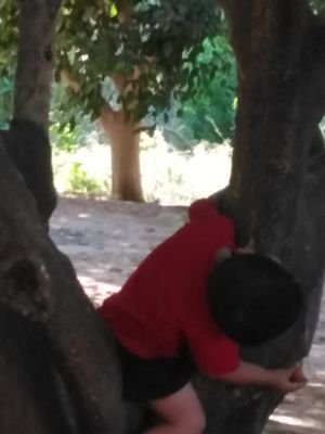 abrahym_alsharf's profile picture. انسان بسيط بطبعي محب للجميع واتمنا التوفيق والنجاح الدائم.