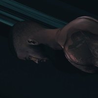 TK Norxx (@tk_norxx) 's Twitter Profile