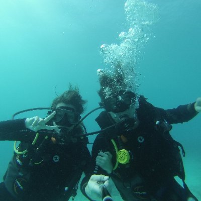 SimonO____CH's profile picture. 