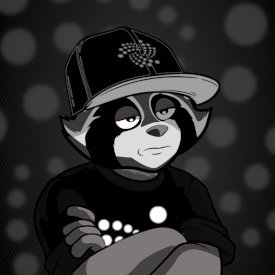 IOTA_RACCOONZ Profile Picture