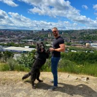 Steve O'Callaghan (@steveocall1) 's Twitter Profile