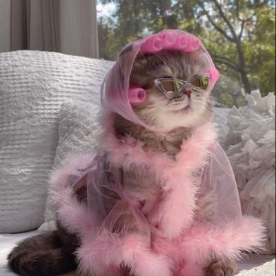 Also wenn das hier die Blüte meines Lebens ist will ich den Herbst nicht sehen.