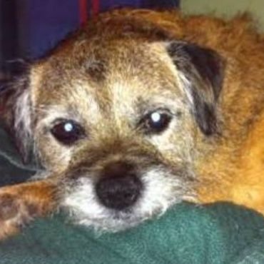 iCDHyrK61Z6HeZm's profile picture. 「基本」というアカウントでやってましたがログインできないためこっちを本垢にすることにしました。