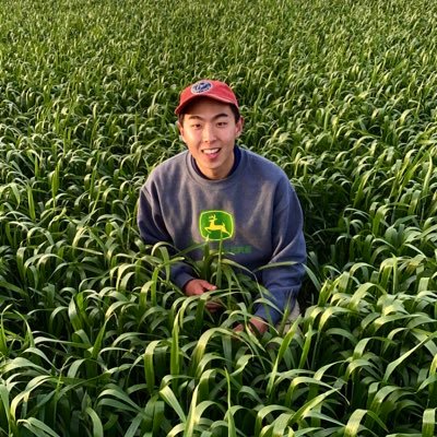 SYP farmer. 24. Wheat, Barley, Lentils and a few Faba Beans. 🌾