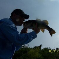 Rob Williams (@topwaterrob) 's Twitter Profile