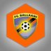 FC Ballkani (@fcballkani) Twitter profile photo