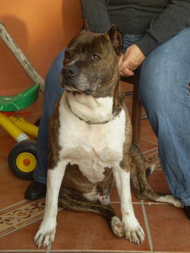 MJMONTERO1's profile picture. Amante de los animales, defensora de las causas injustas