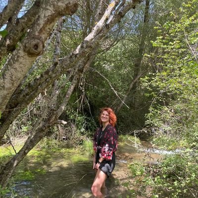 erargami's profile picture. 