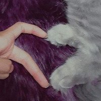 🕳️ (@jawharasuliema3) 's Twitter Profile