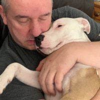 Steve LSP Cam1 (@stevexxxcam1) 's Twitter Profile