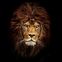 MHG (@mhemanal) 's Twitter Profile