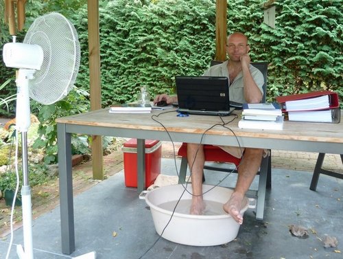 vandype's profile picture. When I am good, I am good.. When I am bad... I am better.Verder: avonturier, ontdekker, leergierig en genieter.