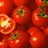TuinbouwVandaag's profile image
