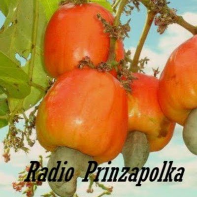 Radio Prinzapolka dedicated to promote history,music,United States News,sports and many ,many more