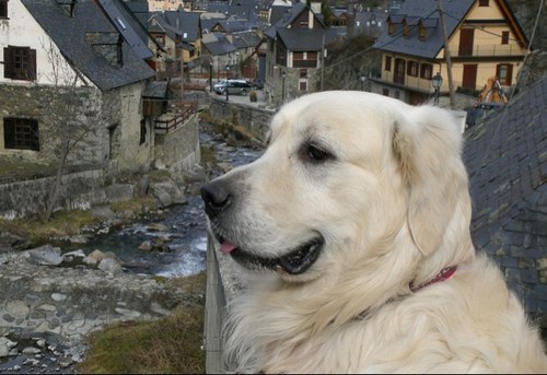 judithpuntas's profile picture. 