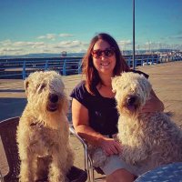 Catherine Waterworth (@chuckywat) 's Twitter Profile Photo Catherine Waterworth (@chuckywat) 's Twitter Profile Photo