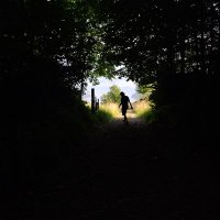 Adrián Pulido (@adripul) 's Twitter Profile