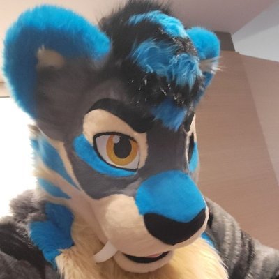 34, BSc Computer Science, San Diego resident and UCSD alum. Mostly SFW account.

Software engineer,

Saber fursuit by @CritterWorkshop