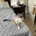 Dianna Mullen - @DiannaMullen14 - Twitter