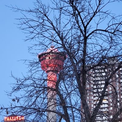 uvindex's profile picture. 