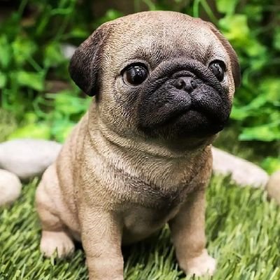 welcome to dogs and deal
we sell all types of dog's you can think of no delivery fee 0% shipping fee we deliver it to any country in the world we also train dog