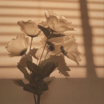 faisal_karim05's profile picture. #StopBalochGenocide