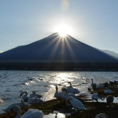 気ままに日々探索中👀✨毎日ウォーキング🚶‍♀️🍃時々カラオケ～🎤😆🎵音楽と写真・芸術をこよなく愛しています💖📸✨(いろんな写真おいてますが空と雲・お花が多いかな☁🥰☁)突然のリプ&フォロー等失礼します🦜美しい地球を記録する旅✈️🌎️💫RTいいねが大好き✨よろしくお願いしま～す🥰🍀