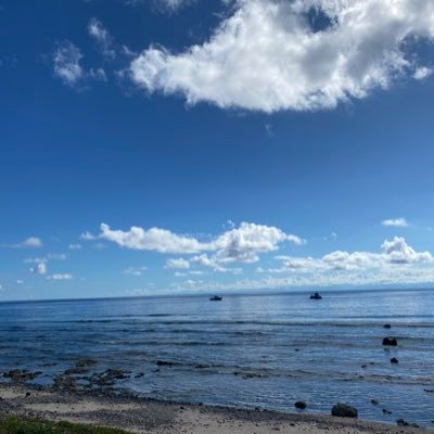 lDvoZQHfuw8o04E's profile picture. 🏳️‍🌈