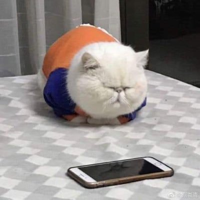 JstRdng_Tweets's profile picture. Me paso las mañanas leyendo tweets de noticias 🥸