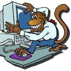professional computer guru and crypto enthusiast.