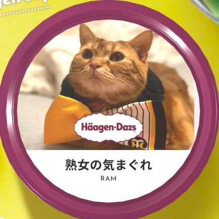 ラム♀アメショレッドタビーの艶っぽい熟女です🐱笑っ
ツンデレですが仲良くしてやって下さい😊 無言フォローを許してね😝 なるべくフォロバします💨 目指せフォロワー5000名様❗🐈️
