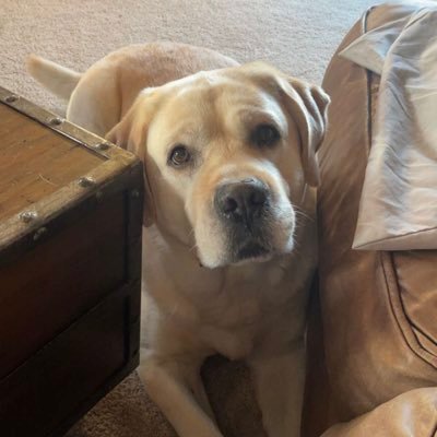 ShannonLeanna's profile picture. Momma to Bryn & Bryar 👫🏼 #WTD ⚡️ #OS14