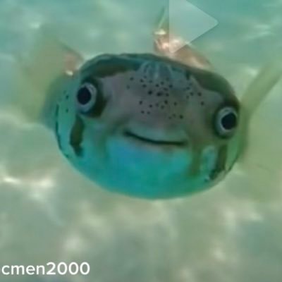 twitstick234's profile picture. 