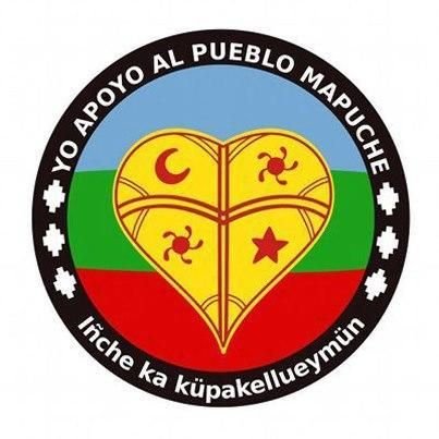 Total apoyo a la causa mapuche ✊✊