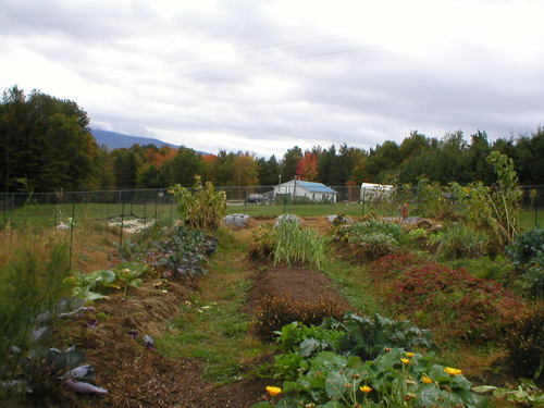 I WAS an Adirondack Mountain gardener. Now I wander around Salt Lake City in my power chair.
