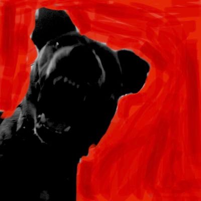 wockalilharder's profile picture. 